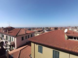 Vista