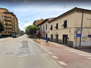 Zona
