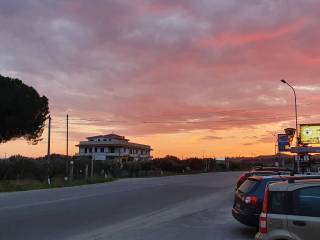Zona