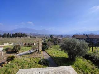 Vista