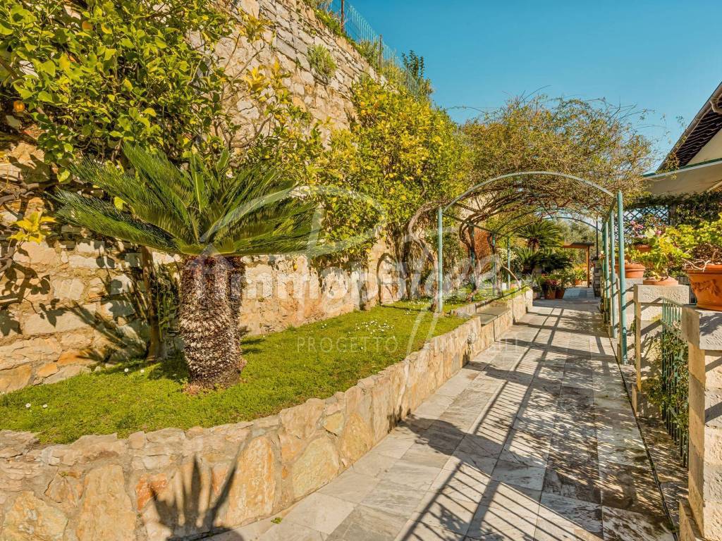 Giardino