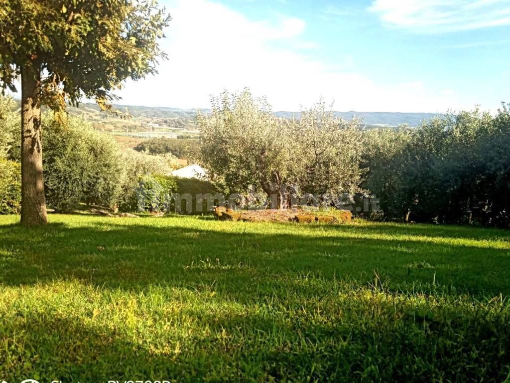 Terreno