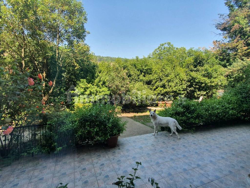 Giardino