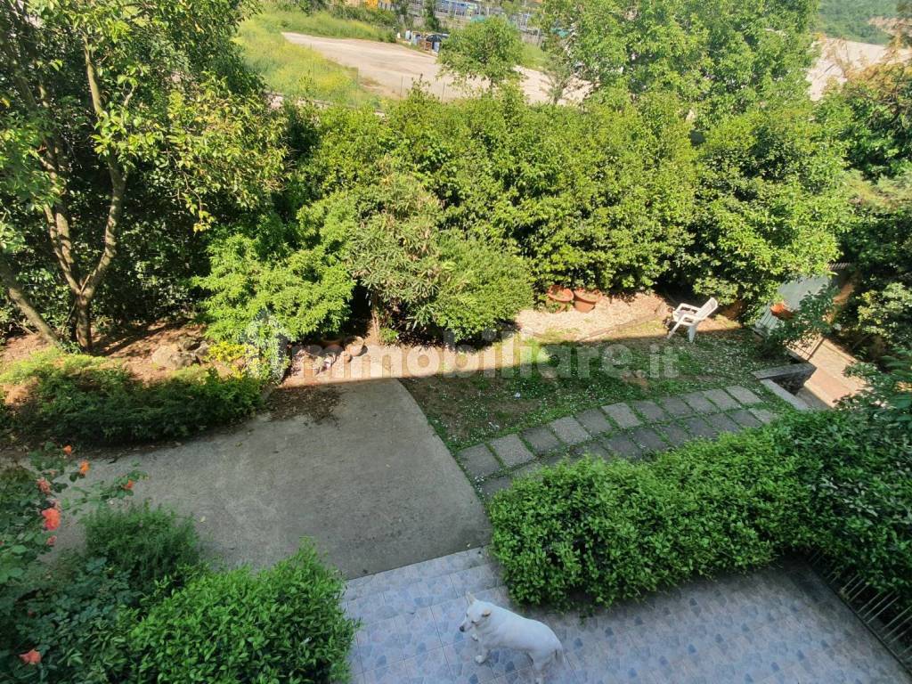 Giardino