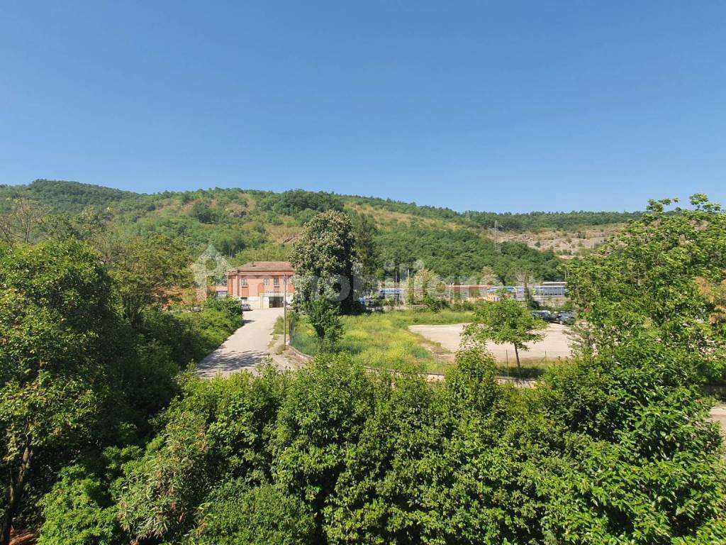 Vista