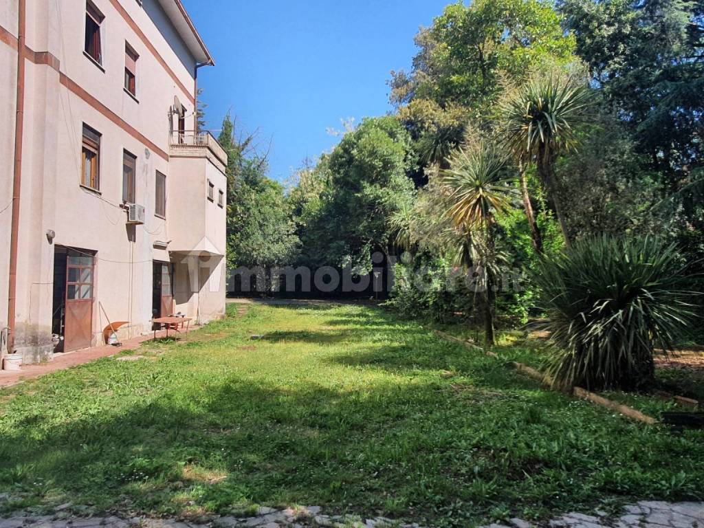 Giardino