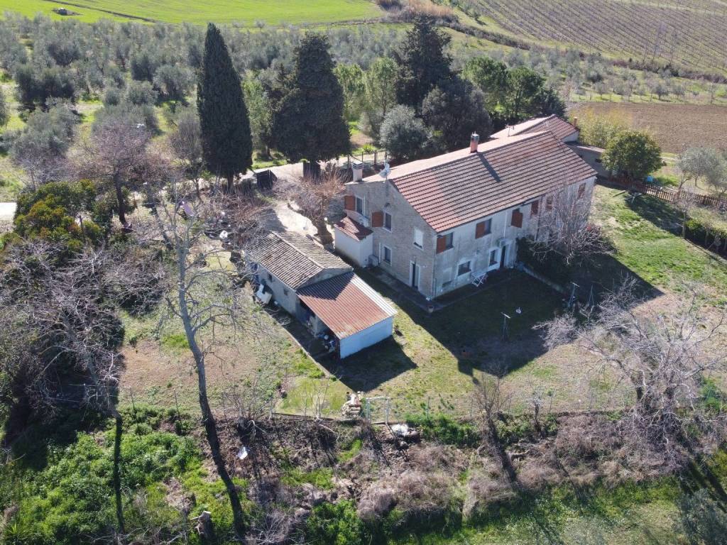 Vista