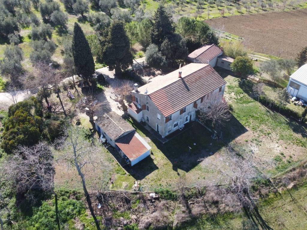 Vista