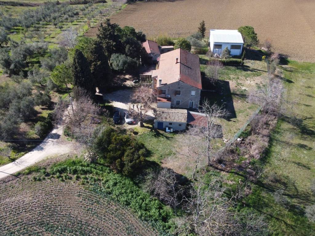 Terreno