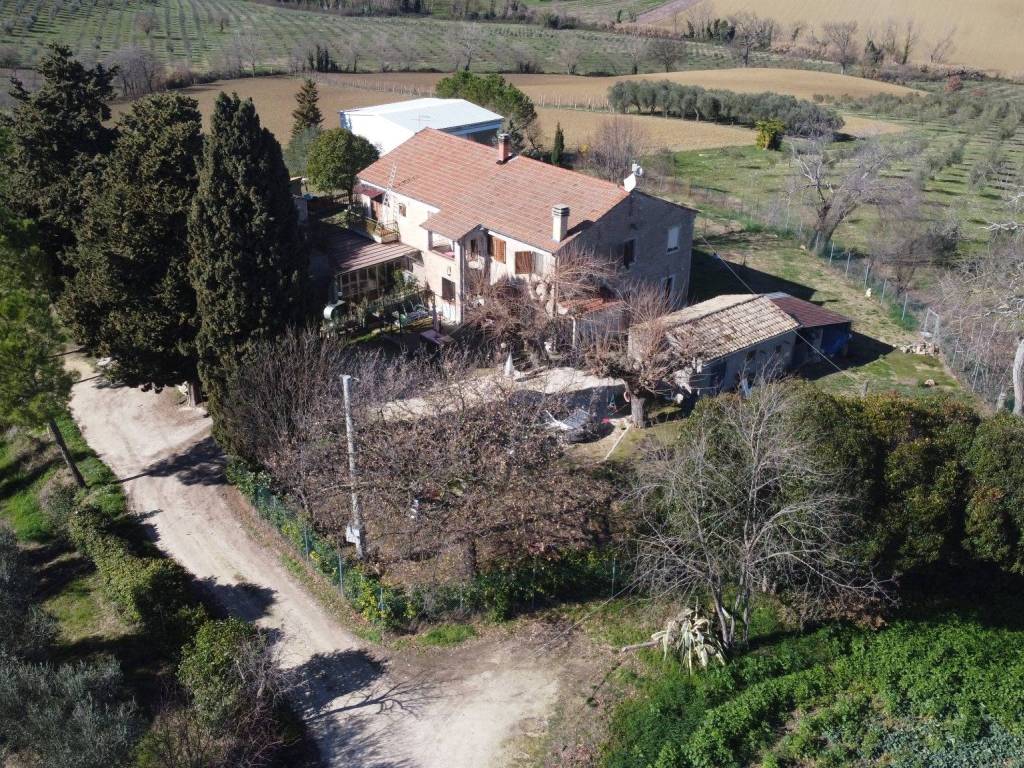 Vista
