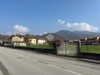 Zona
