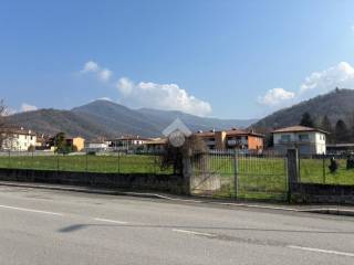 Zona