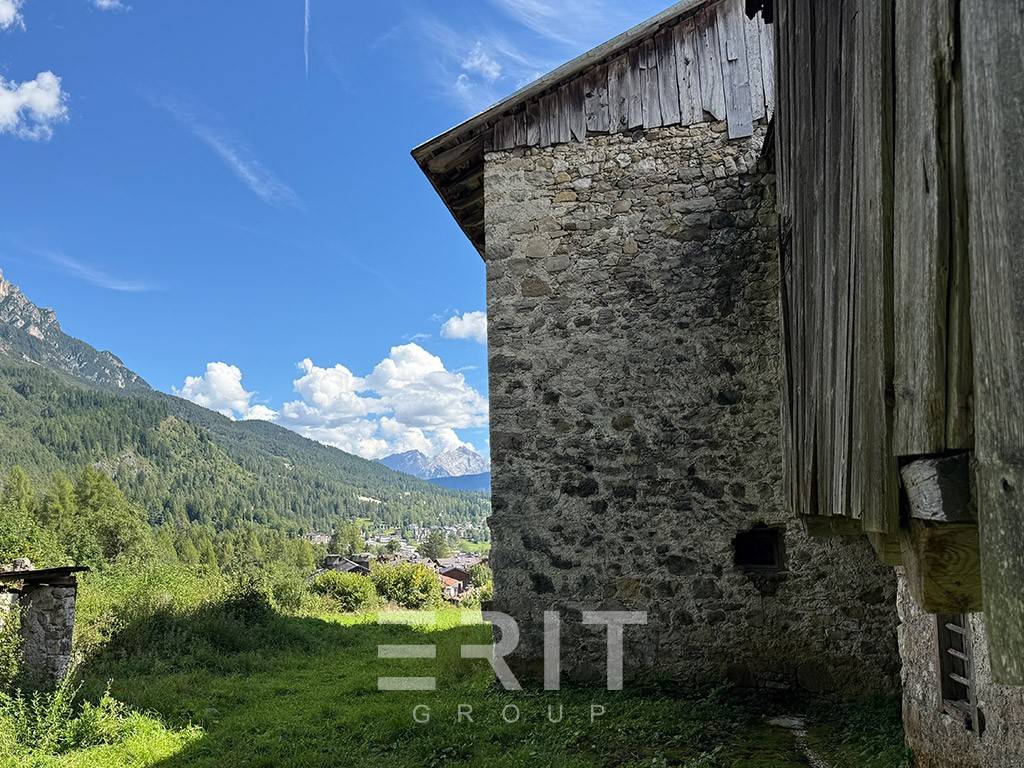 Vista