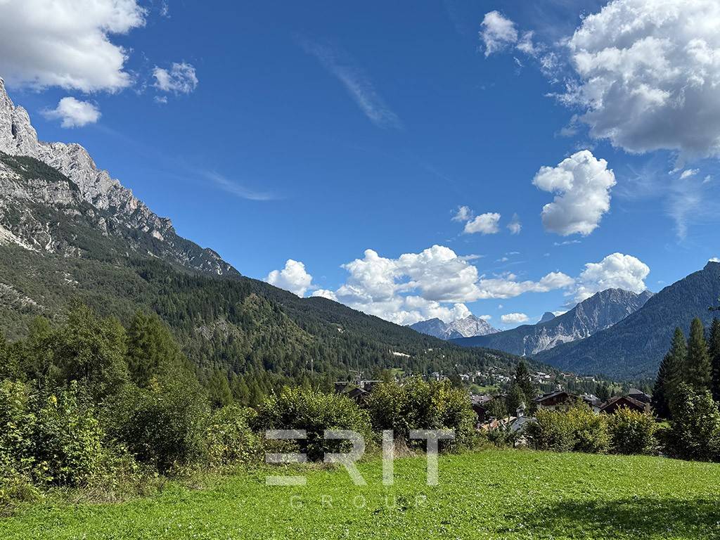 Vista