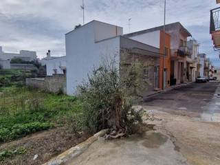 Zona
