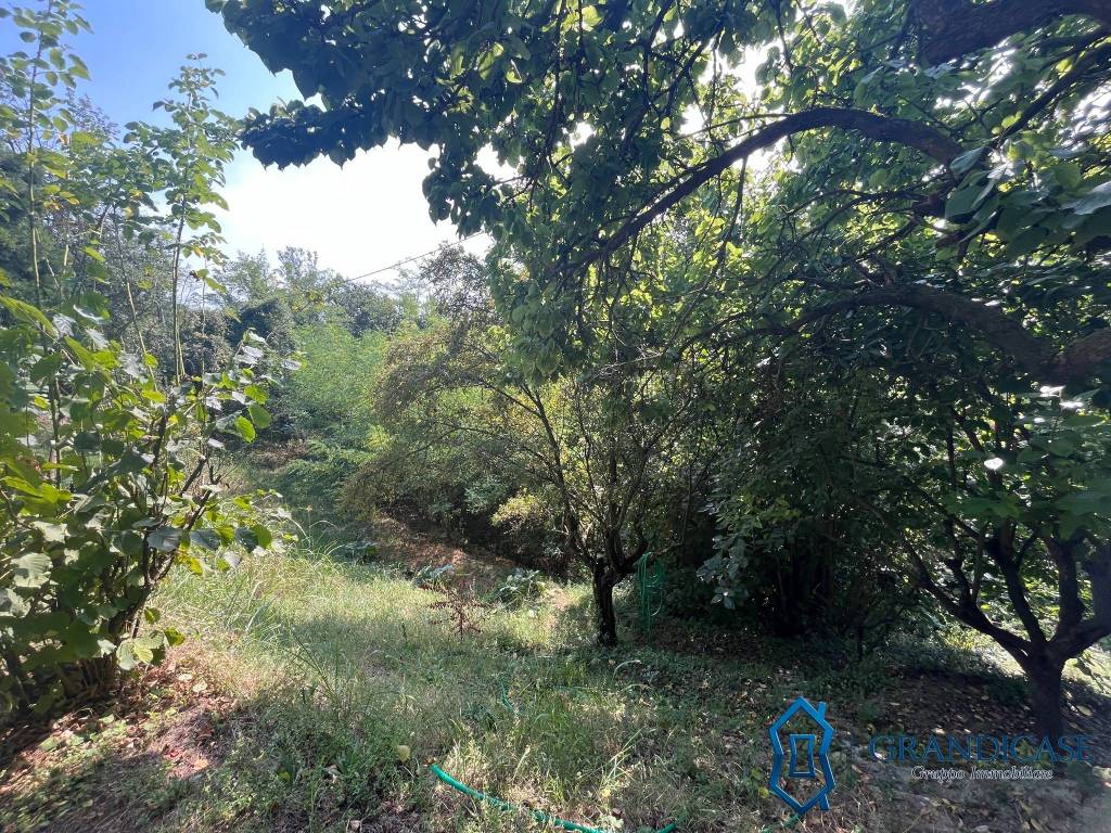 Terreno