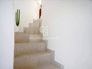 Scala
