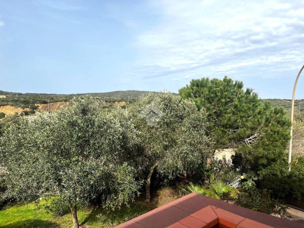 Vista