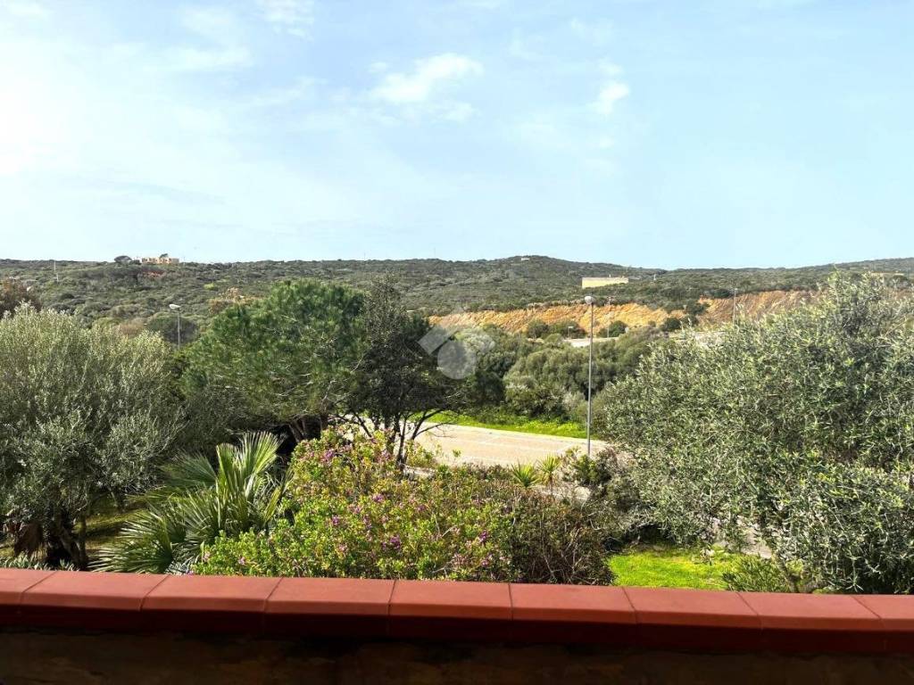 Vista
