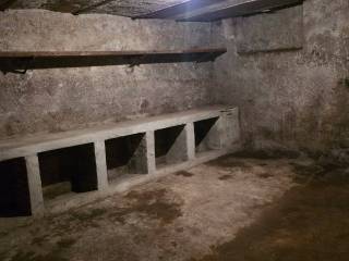 Cantina