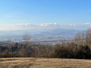 Vista