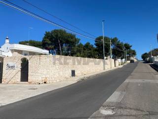 Zona