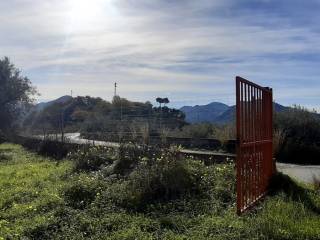 Vista