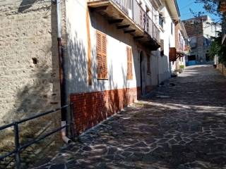 Zona