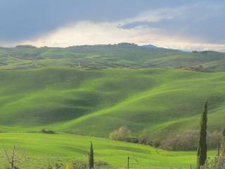 Vista