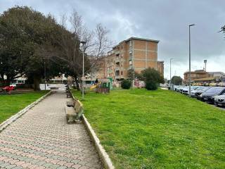 Zona