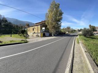 Zona