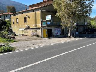 Zona