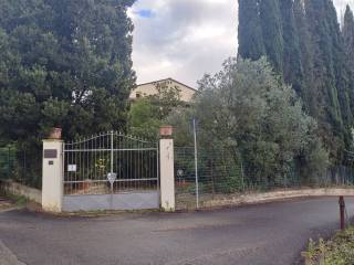 Zona