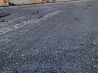 Zona
