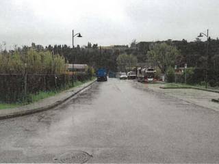 Zona