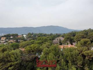 Vista
