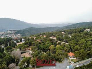 Vista