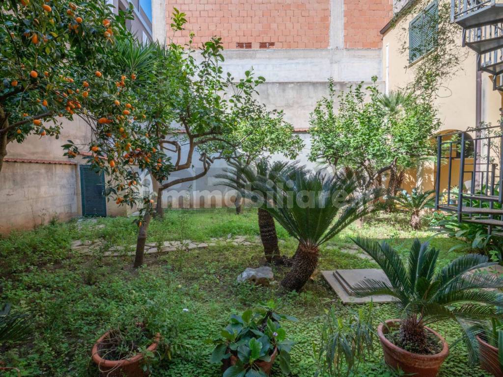 Giardino