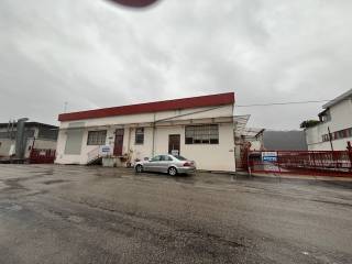 Zona