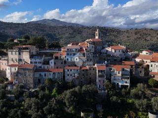 Vista