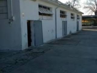 Zona
