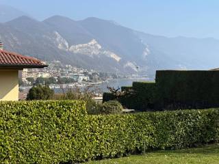 Vista