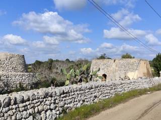 Zona