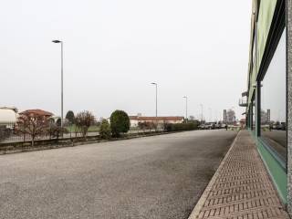 Zona