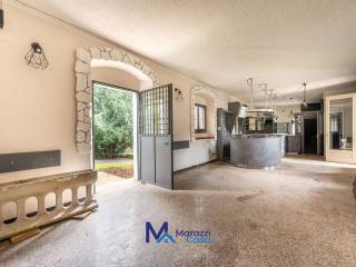 Ingresso