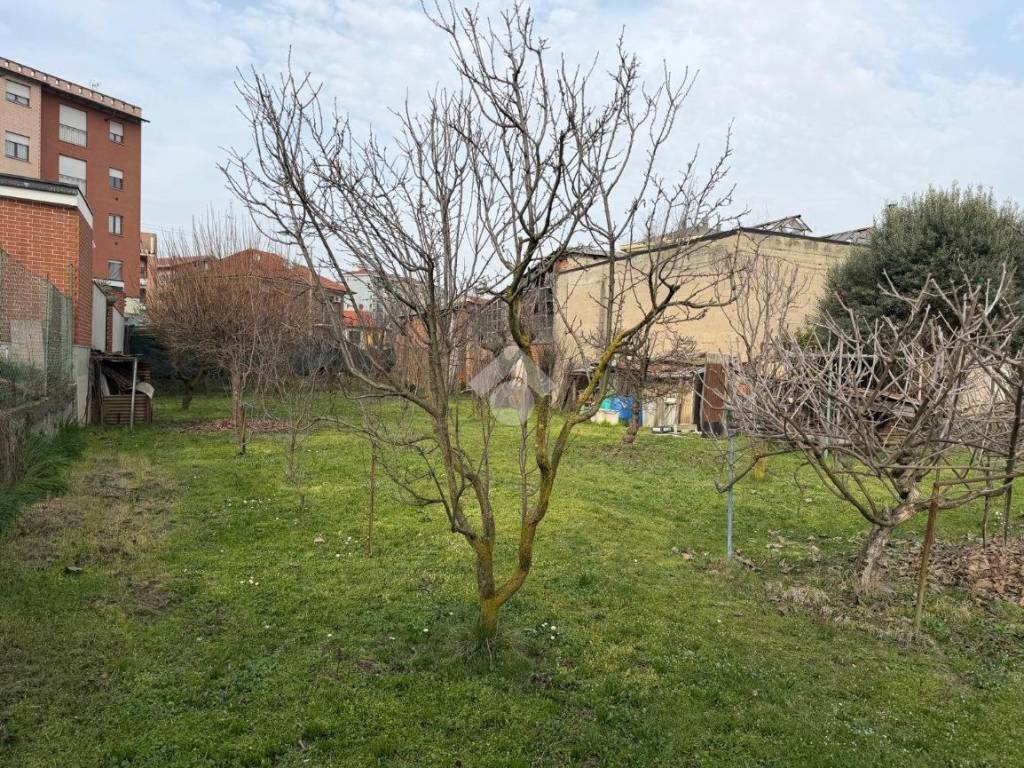 Terreno