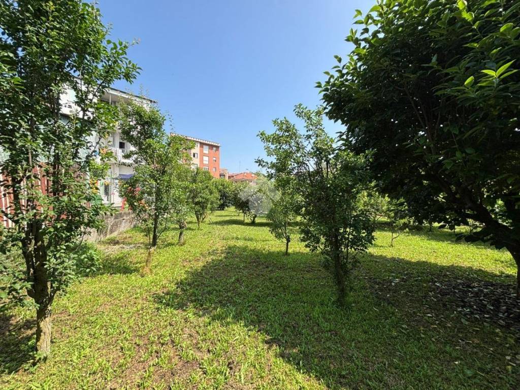 Terreno