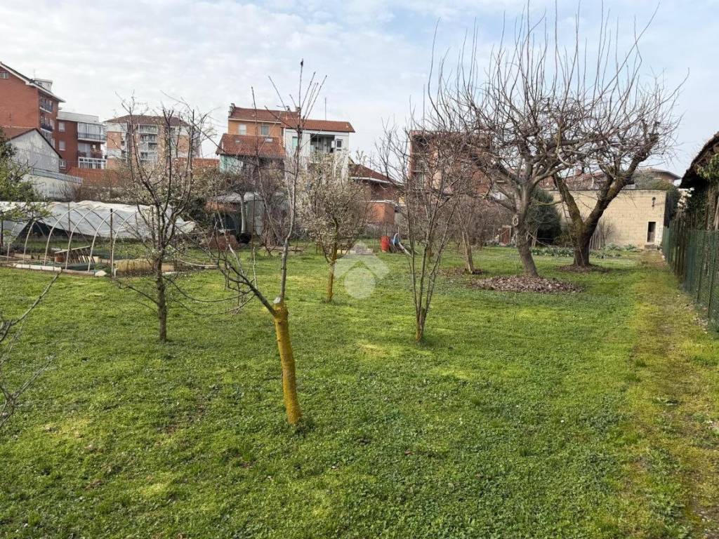 Terreno