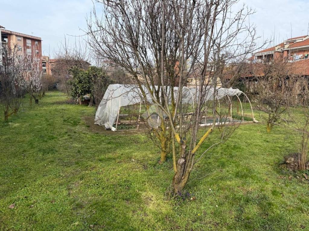 Terreno