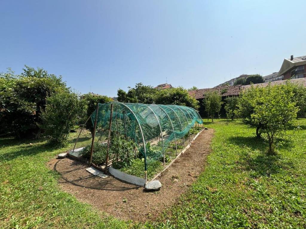 Terreno
